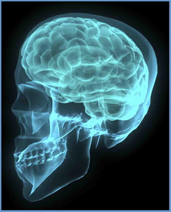 central nervous system  diseases